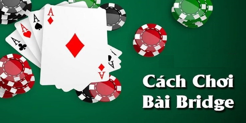 Cách chơi bài Bridge đơn giản