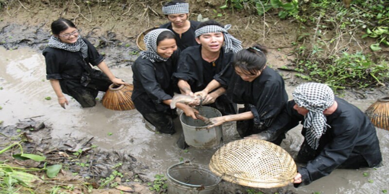 Mơ Thấy Bắt Cá